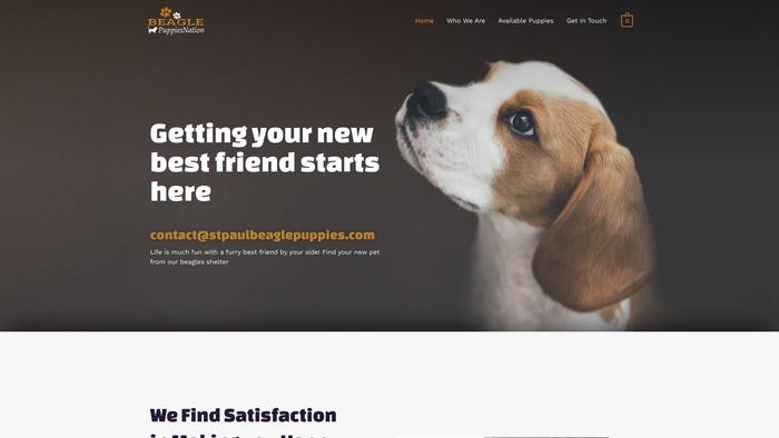 Stpaulbeaglepuppies.com - Beagle Puppy Scam Review