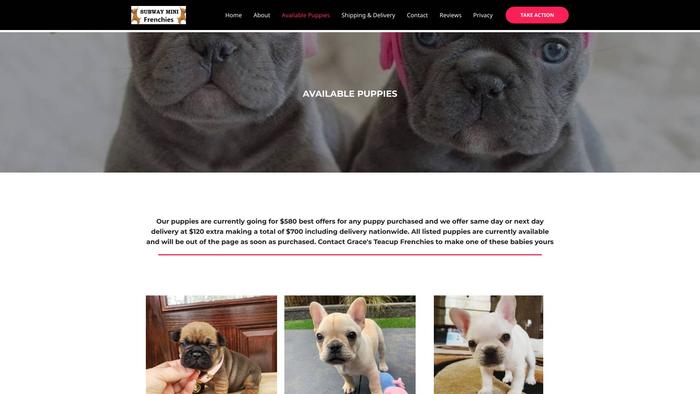 Subwayminifrenchbulldogpupshome.com - French Bulldog Puppy Scam Review