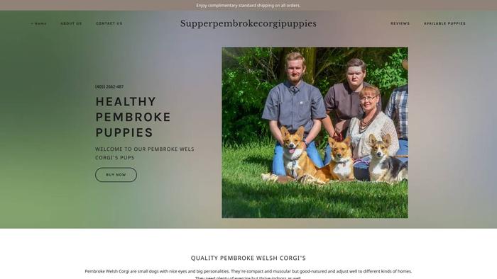 Sulighgtpembrokecorgipuppies.com - Corgi Puppy Scam Review