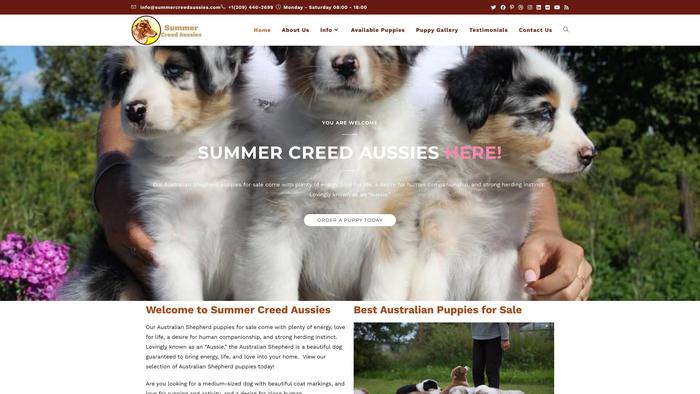 Summercreedaussies.com - Australian Shepherd Puppy Scam Review