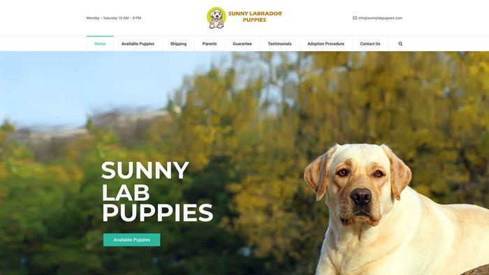 Sunnylabpuppies.com - Labrador Puppy Scam Review