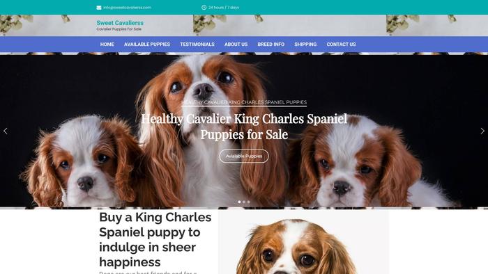 Sweetcavalierss.com - Cavalier King Charles Spaniel Puppy Scam Review