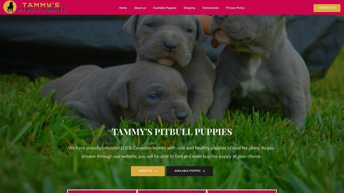 Tammypitbullpuppies.com - Pit Bull Puppy Scam Review