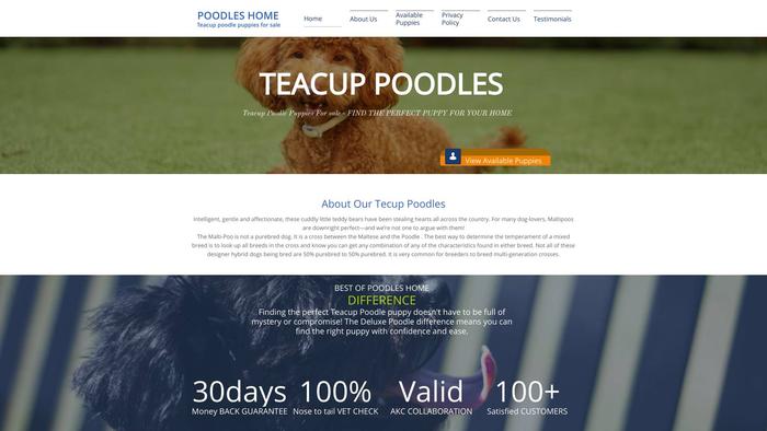 Teacuppoodlepuppieshomes.com - Poodle Puppy Scam Review