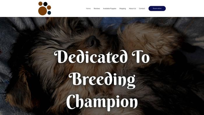 Teacupyorkiepupps.com - Yorkshire Terrier Puppy Scam Review