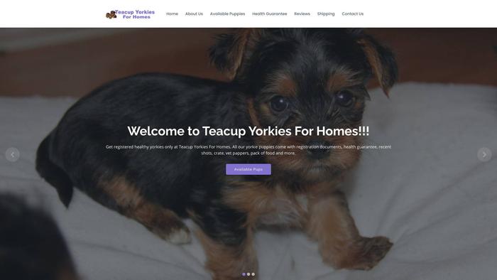 Teacupyorkiesforhomes.com - Yorkshire Terrier Puppy Scam Review