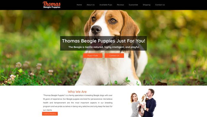 Thomasbeaglepuppies.com - Beagle Puppy Scam Review