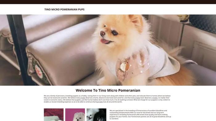 Tinomicropomeranianhome.com - Pomeranian Puppy Scam Review