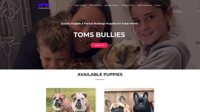 Tomsbullies.com - English Bulldog Puppy Scam Review