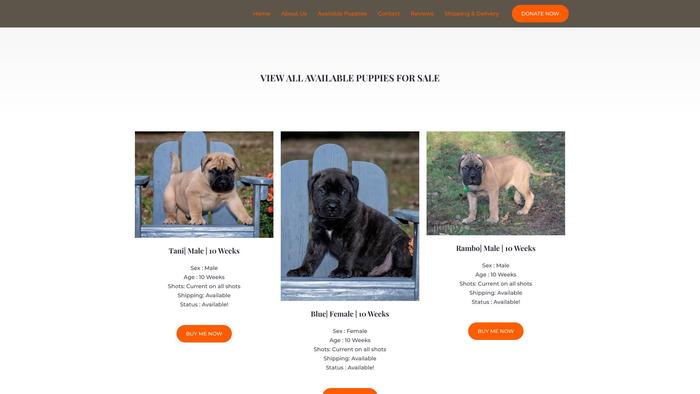 Topbullmastiffpupshome.com - Bull Mastiff Puppy Scam Review