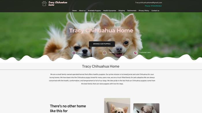 Tracychihuahuahome.com - Chihuahua Puppy Scam Review