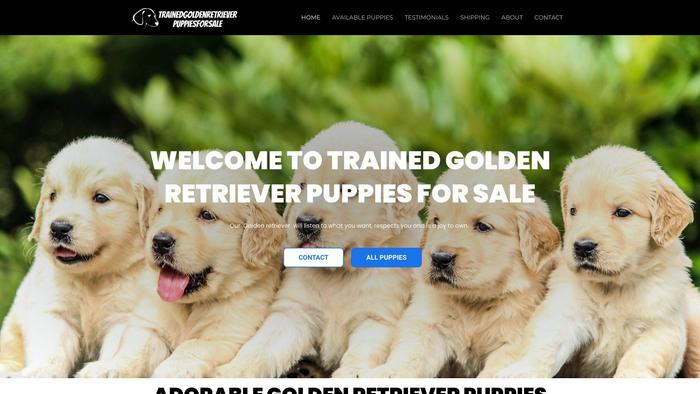 Trainedgoldenretrieverpuppiesforsale.com - Golden Retriever Puppy Scam Review