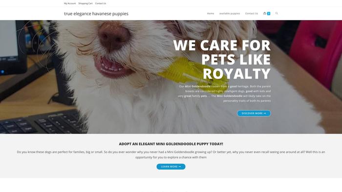 Truelegancehavanesepuppies.com - Havanese Puppy Scam Review