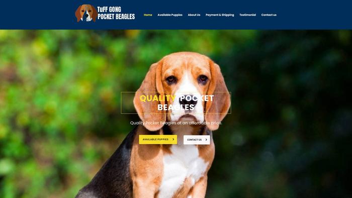 Tuffgongpocketbeagles.com - Beagle Puppy Scam Review