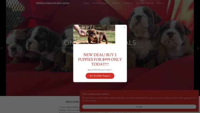 Twinklebulldogbreeders.club - English Bulldog Puppy Scam Review