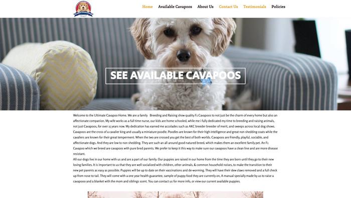 Ultimatecavapoohome.com - Cavapoo Puppy Scam Review