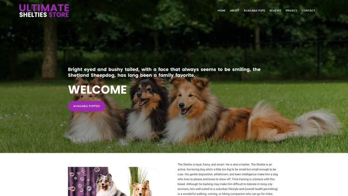 Ultimateshelties.store - Sheltie Puppy Scam Review