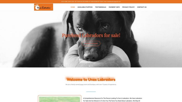 Uneslabradors.com - Labrador Puppy Scam Review