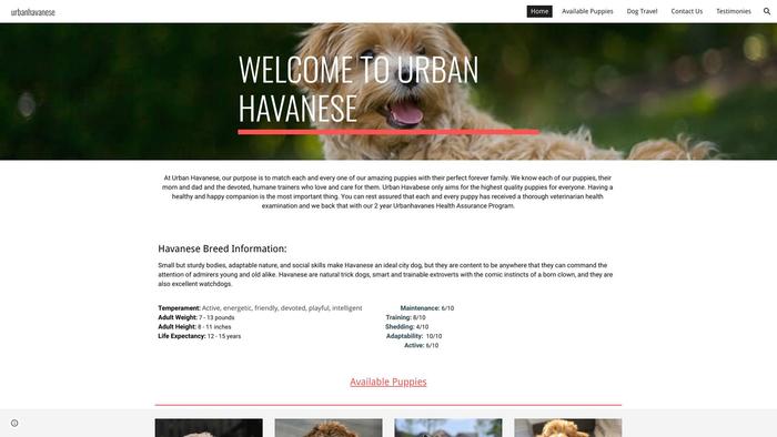 Urbanhavanese.dog - Havanese Puppy Scam Review