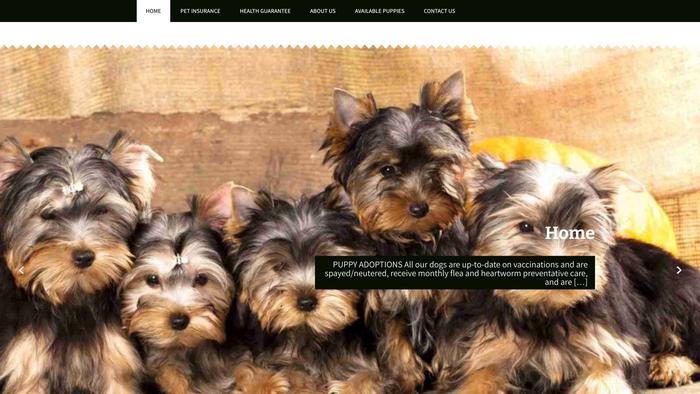 Vanessalopezpurebredyorkie.com - Yorkshire Terrier Puppy Scam Review