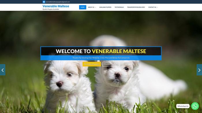 Venerablemaltesepuppies.com - Maltese Puppy Scam Review