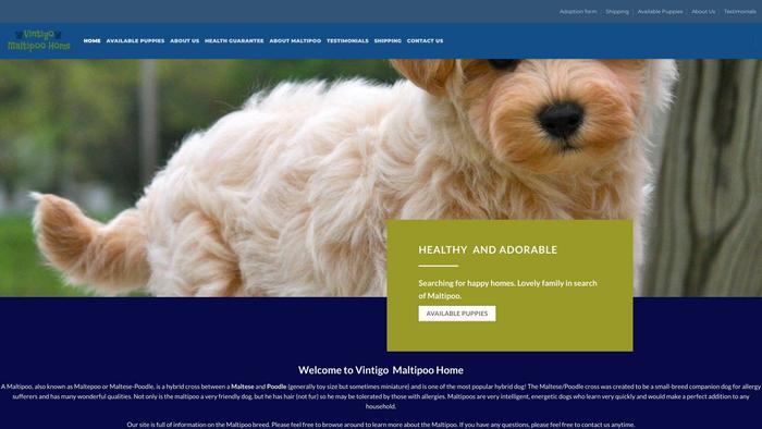 Vintigomaltipoohome.com - Maltipoo Puppy Scam Review