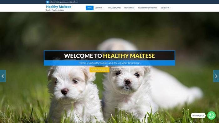 Williamshealthypuppieshome.com - Maltese Puppy Scam Review