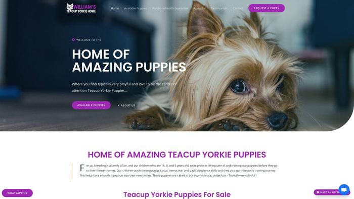 Williamteacupyorkie.com - Yorkshire Terrier Puppy Scam Review