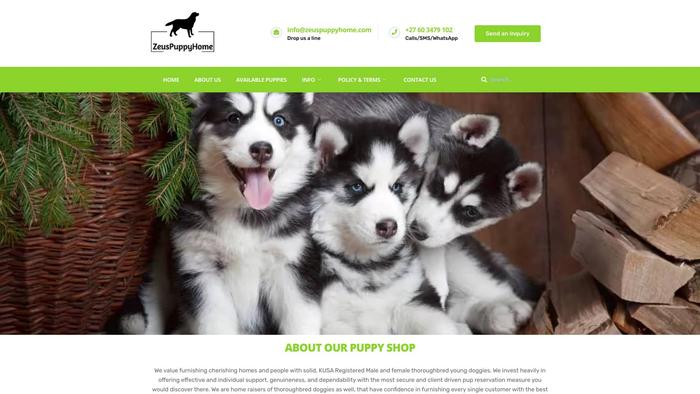 Zeuspuppyhome.com - Cavalier King Charles Spaniel Puppy Scam Review