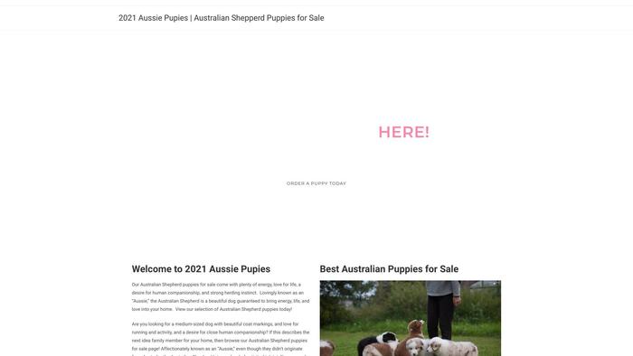 2021aussiepuppies.com - Australian Shepherd Puppy Scam Review