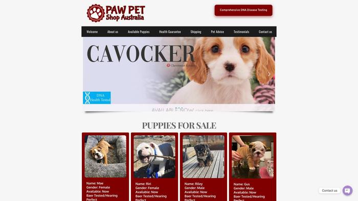 4pawspetshopau.com - Chihuahua Puppy Scam Review