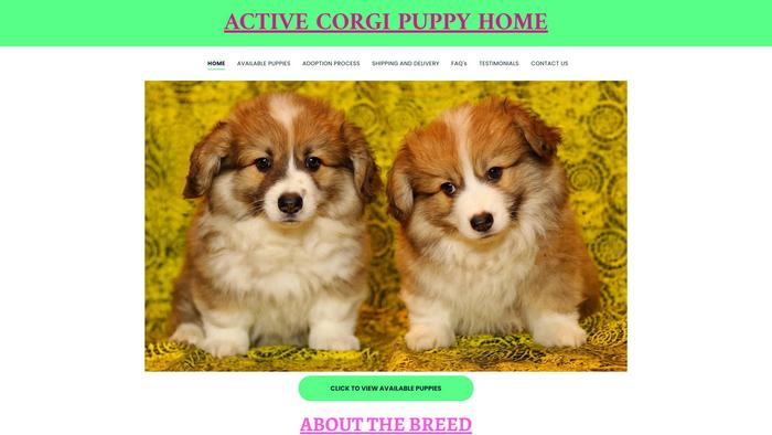 Activecorgipuppyhome.com - Corgi Puppy Scam Review