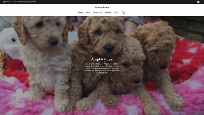 Adoptmypuppy.net - Poodle Puppy Scam Review