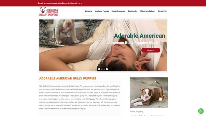 Adorableamericanbullypuppies.com - Pit Bull Puppy Scam Review