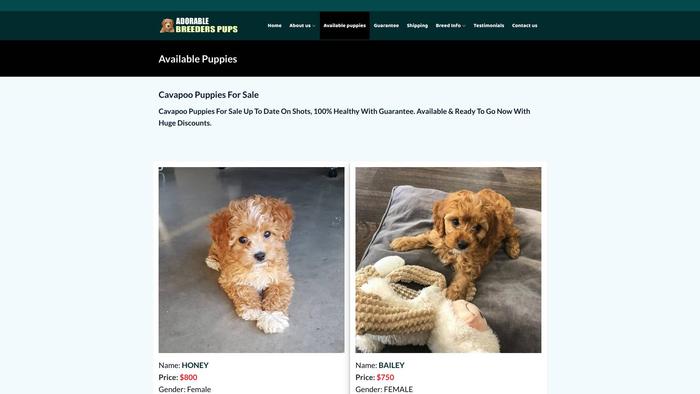 Adorablebreederspups.com - Cavapoo Puppy Scam Review