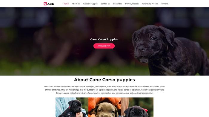 Adorablecanecorso.com - Cane Corso Puppy Scam Review