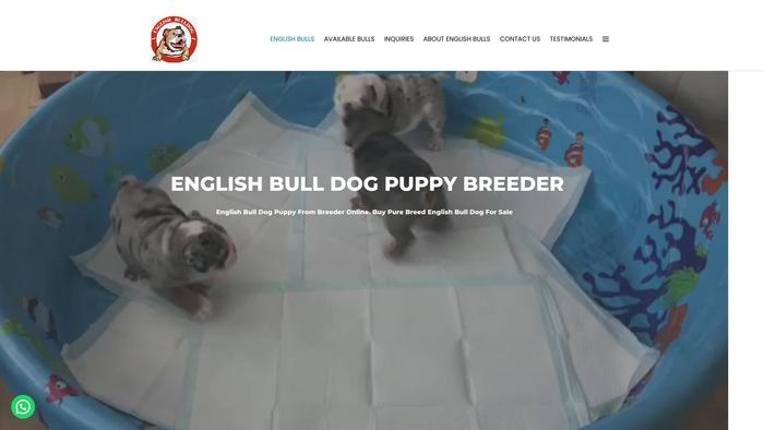 Adorableenglishbulls.com - English Bulldog Puppy Scam Review