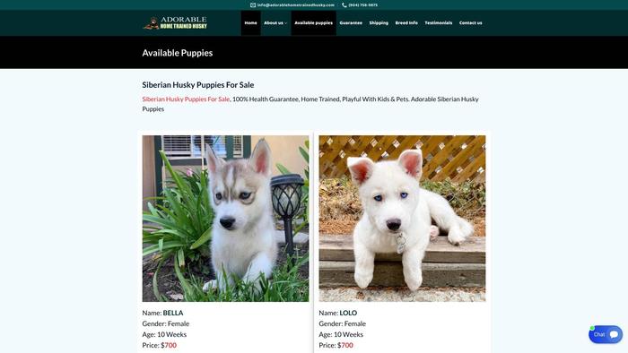 Adorablehometrainedhusky.com - Husky Puppy Scam Review