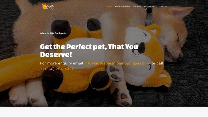 Adorableshibainupuppies.com - Shibhainu Puppy Scam Review