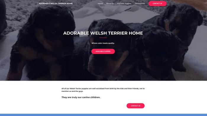 Adorablewelshterrierhome.com - Terrier Puppy Scam Review