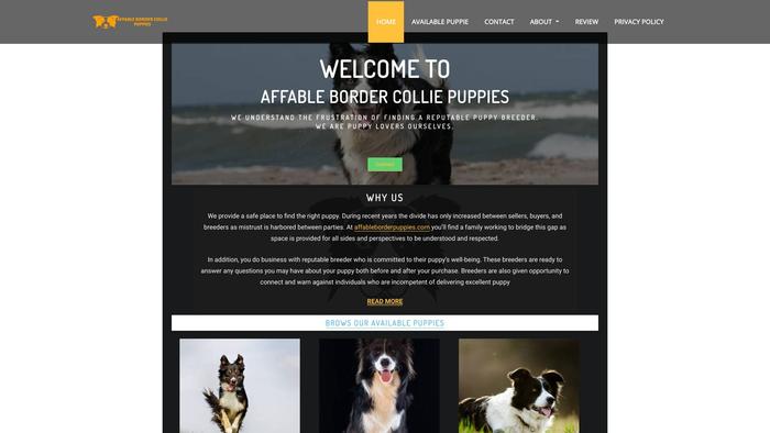 Affableborderpuppies.com - Bordercollie Puppy Scam Review