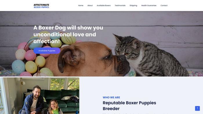 Affectionateboxerpuppies.com - Boxer Puppy Scam Review