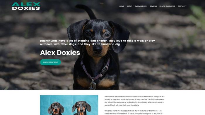 Alexdoxies.com - Dachshund Puppy Scam Review