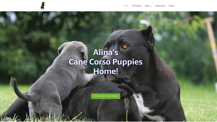 Alinascanecorsopuppies.com - Cane Corso Puppy Scam Review