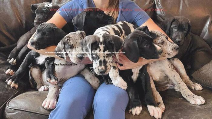 Allcolorgreatdanes.com - Great Dane Puppy Scam Review