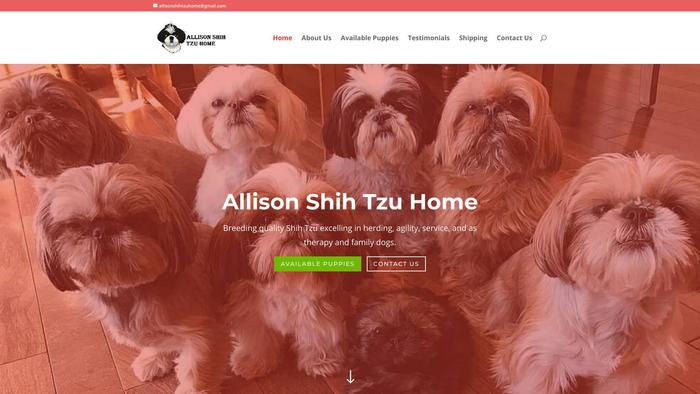 Allisonshihtzuhome.com - Shihtzu Puppy Scam Review