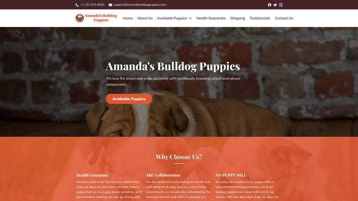 Amandabulldogpuppies.com - English Bulldog Puppy Scam Review