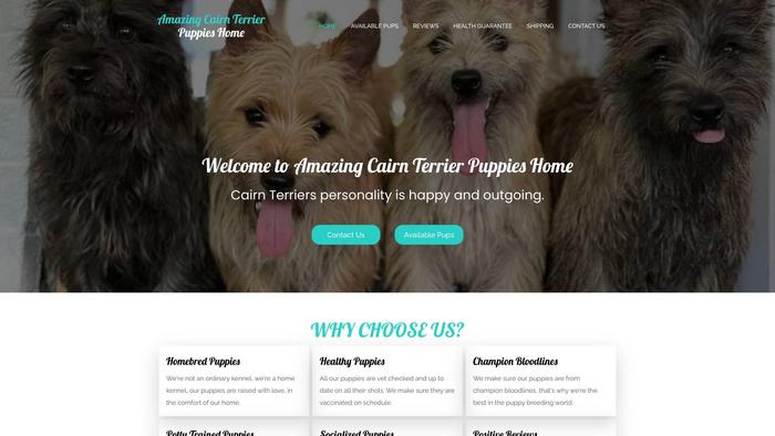 Amazingcairnterrierpuppieshome.com - Terrier Puppy Scam Review