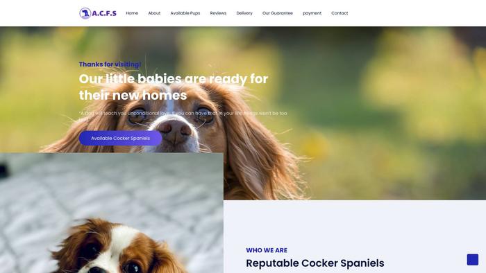 Amazingcockerspanielsforsale.com - Cockerspaniel Puppy Scam Review