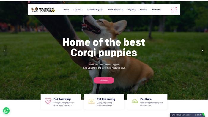 Amazingcorgiepuppies.store - Corgi Puppy Scam Review